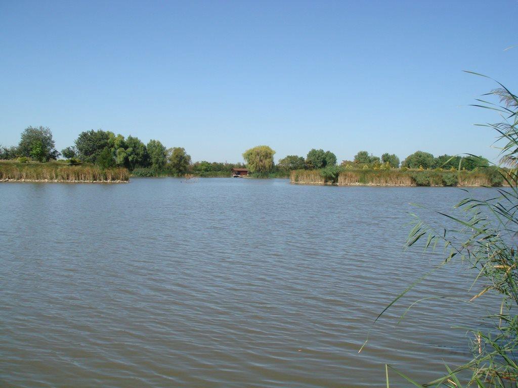 Nagykallo 2012 - 2.jpg